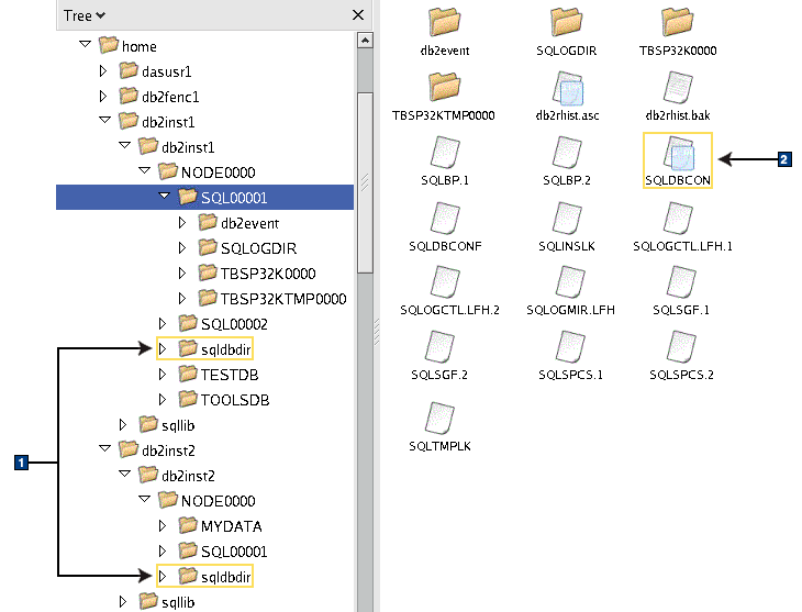 Estructura de directorios - información sobre el directorio local