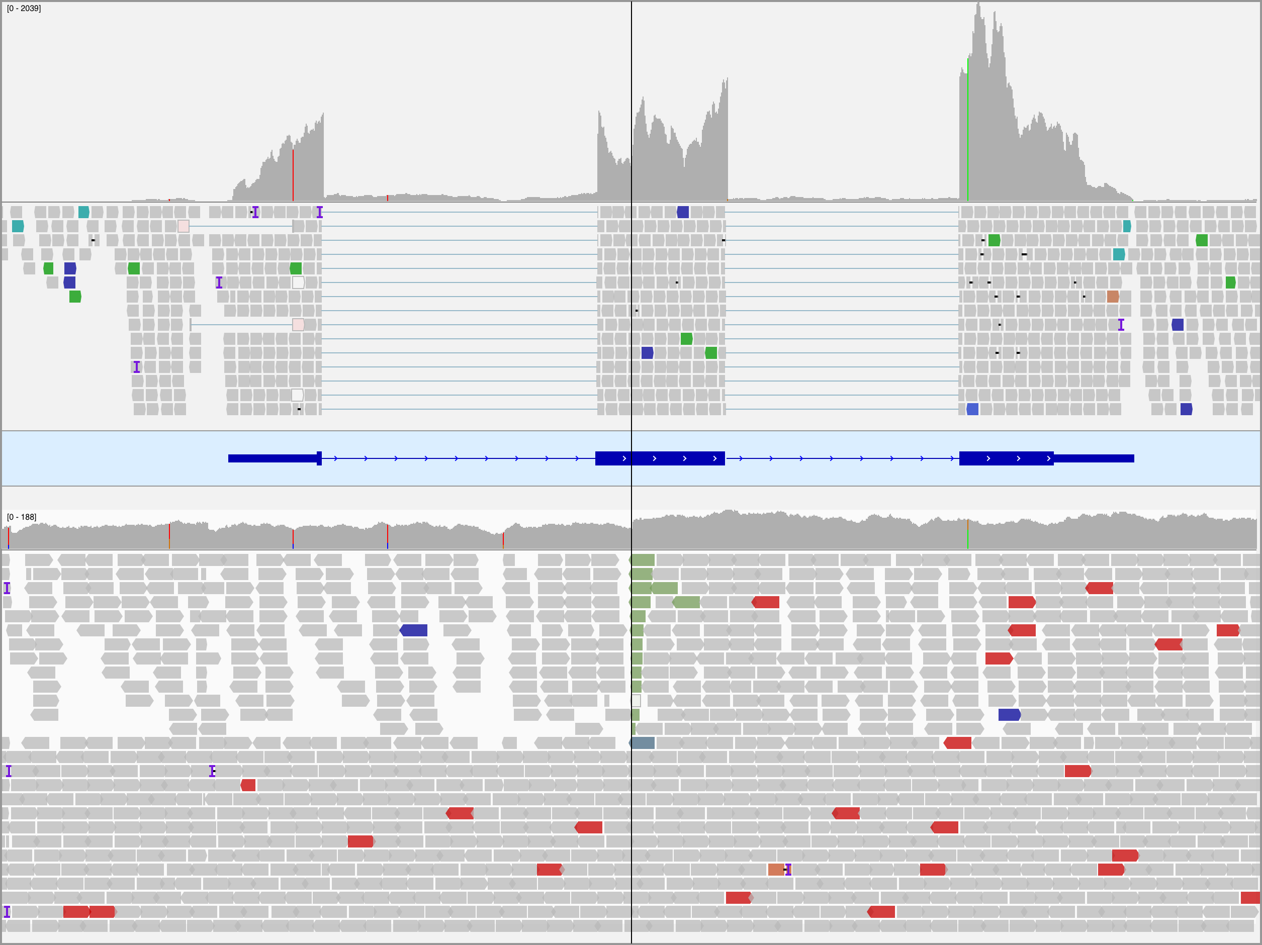 – – Integrative Genomics Viewer (IGV) screenshot of tumor RNA-seq (top panel) and WGS (bottom panel) data for BL123 showing the translocation in MYC at codon 79. The center line indicates the location of the breakpoint. The reads in the bottom track are sorted by the chromosome of the mate to emphasize the breakpoint. Note the increase in coverage in the RNA-seq data following the breakpoint.