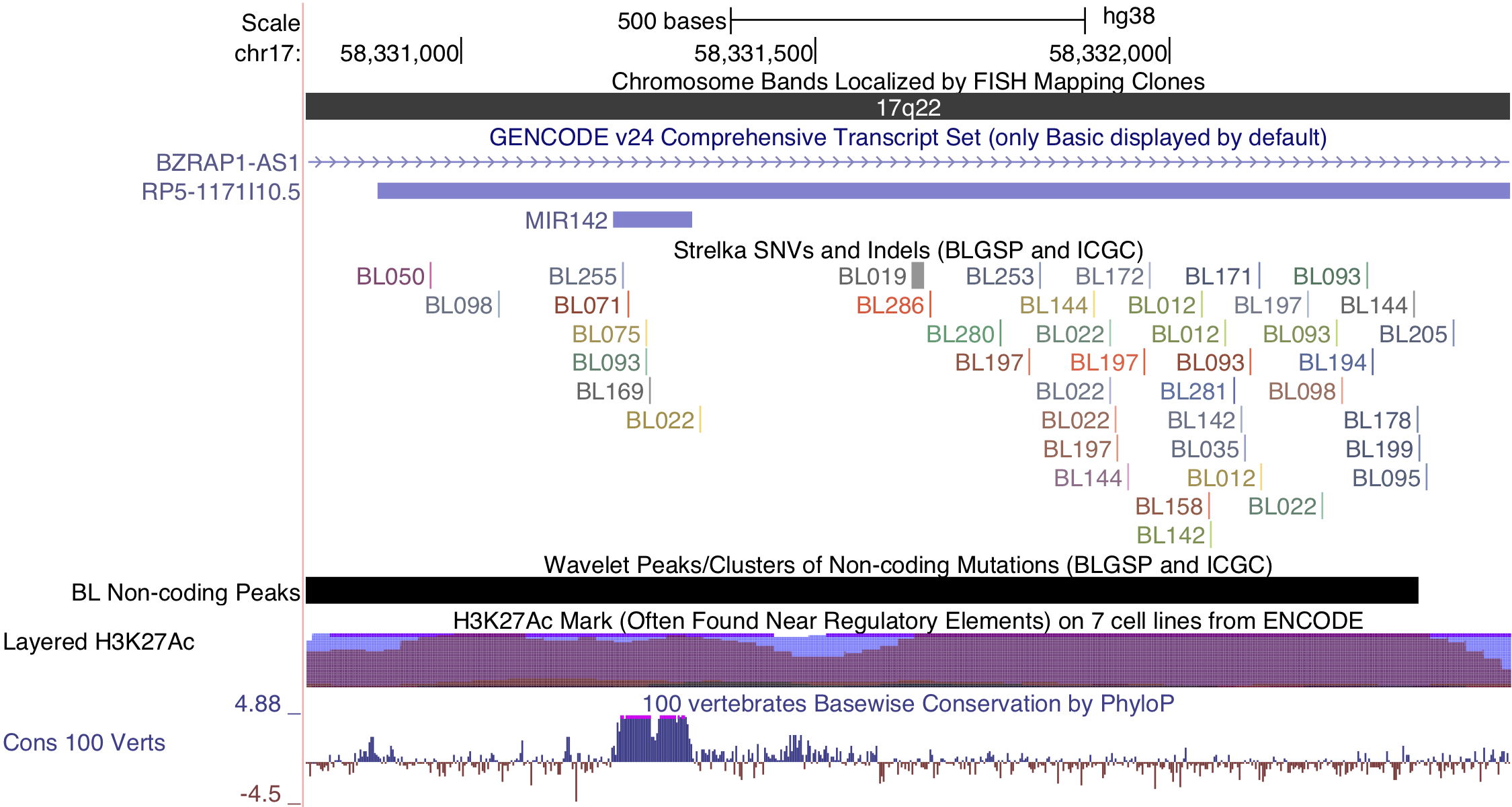 – Non-coding mutations in proximity of miR-142.