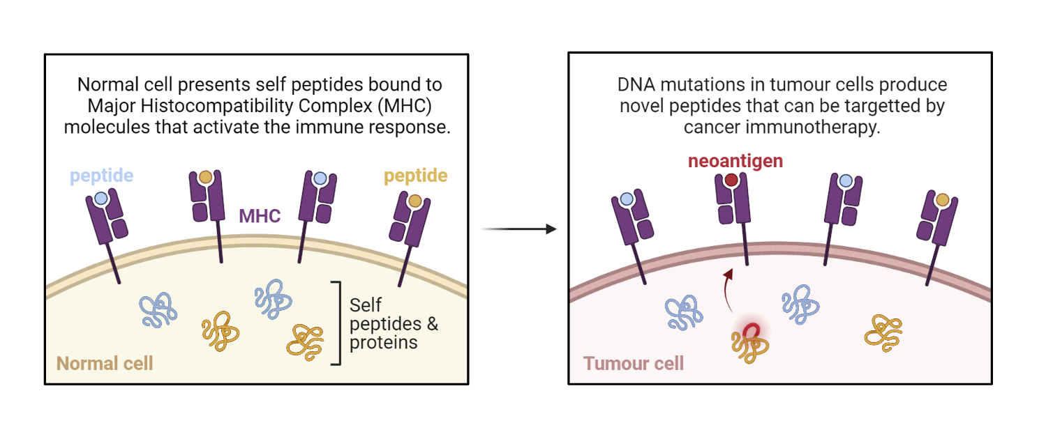 Neoantigens