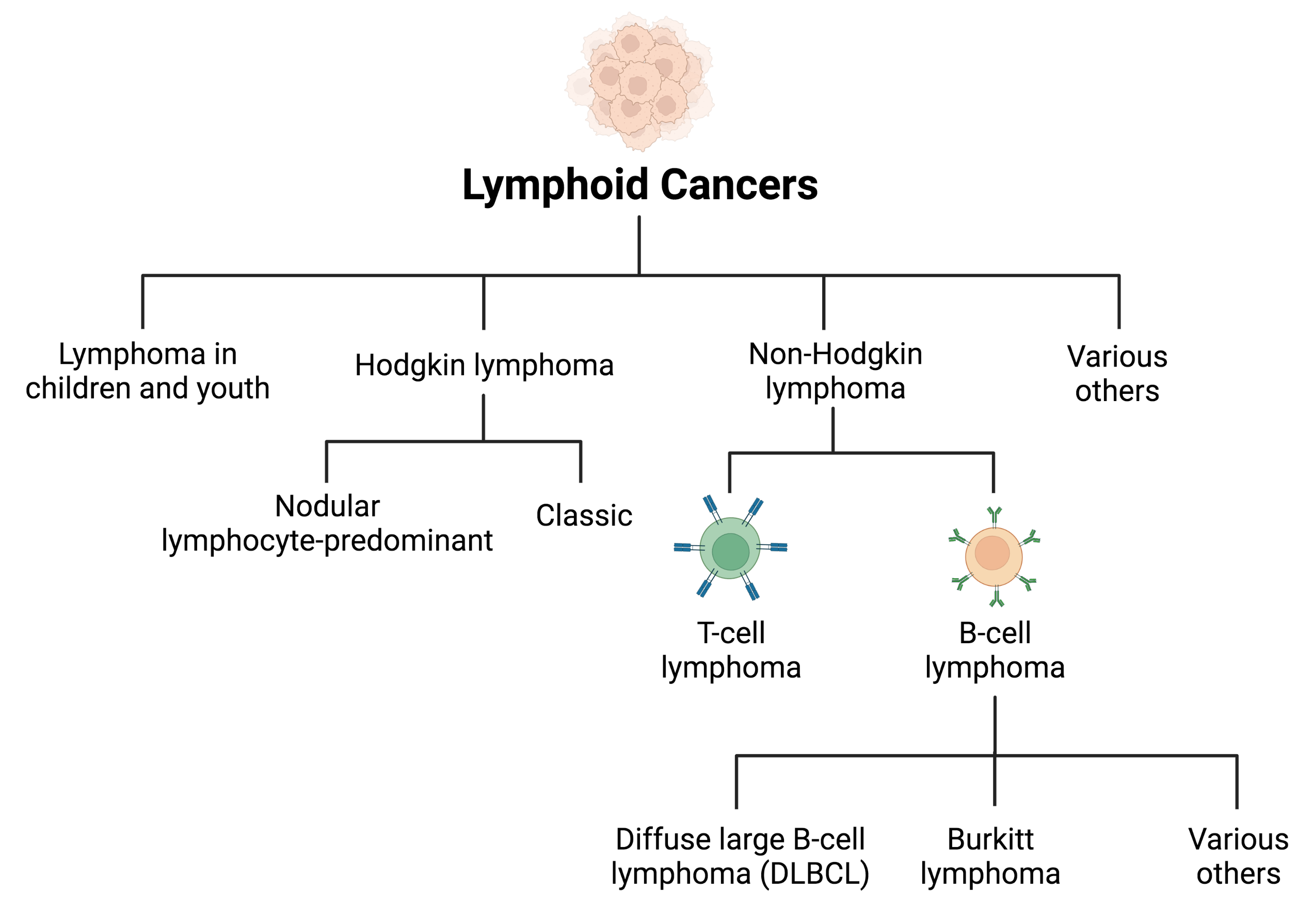 clinical presentation of lymphomas
